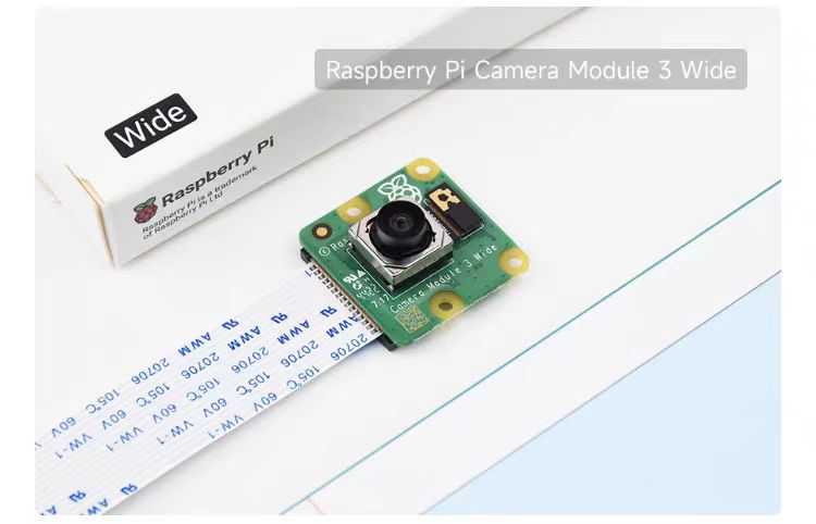 Modulo Fotocamera Termica Fish - Raspberry Pi Thermal Camera Mipi recensione e prezzo